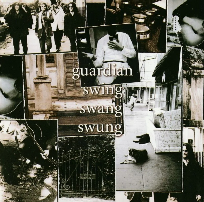 Swing Swang Swung cover