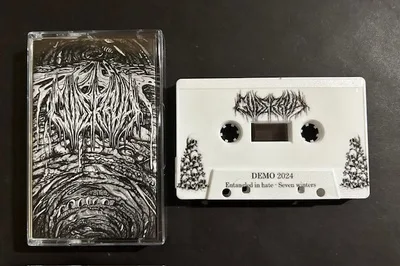 Demo 2024 cover