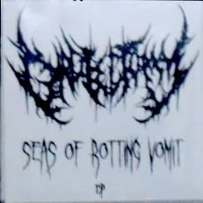 Seas of Rotting Vomit cover