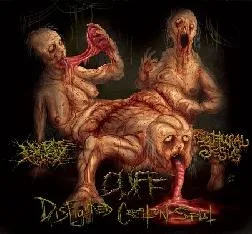 Disfigured Creation Split cover