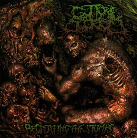 Recreating the Stumps cover