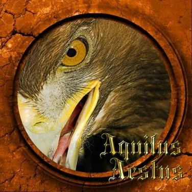Aquilus Aestus cover