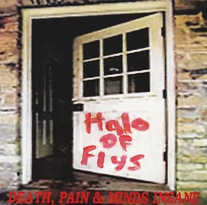 Death, Pain & Minds Insane cover