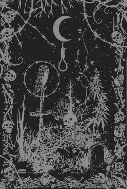 Halo of Miasma cover