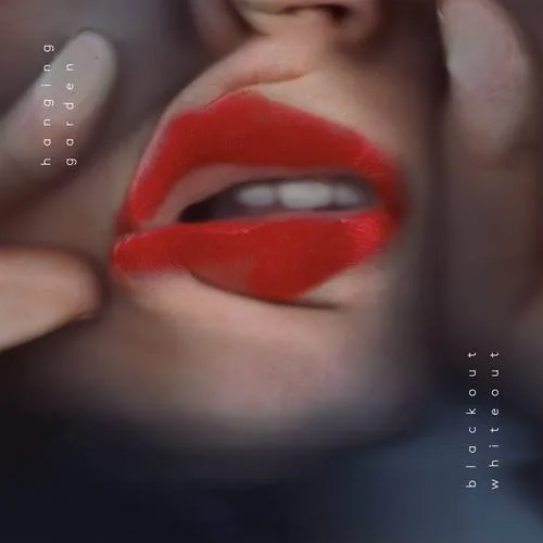 Blackout Whiteout cover