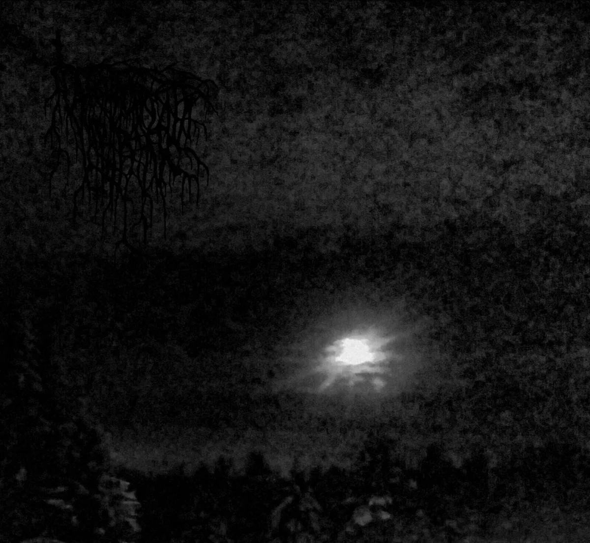 Kirottujen kuuna ja Perikadon puhdistava tuuli cover