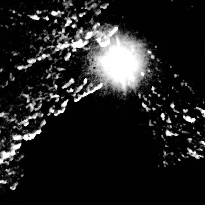 Ruhoni hänen temppelikseen - Kosmos on Herra cover