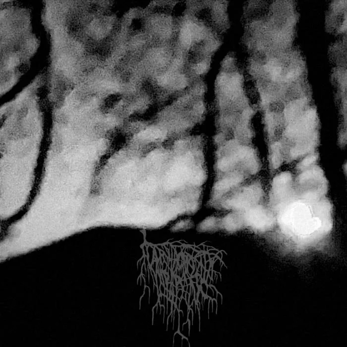 Madon hetki - Unohdetut loitsut 2021-2022 cover