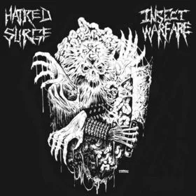 Insect Warfare / Hatred Surge cover