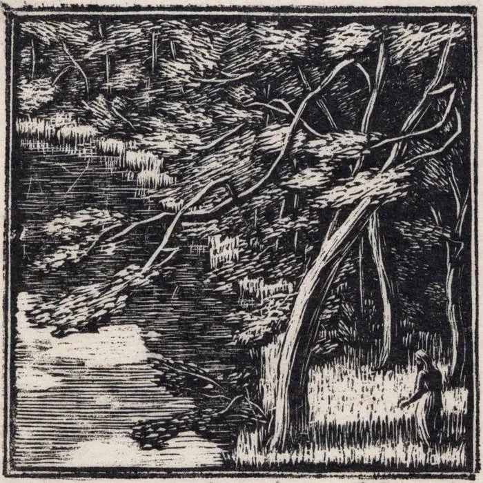 Whispers from the Mire cover