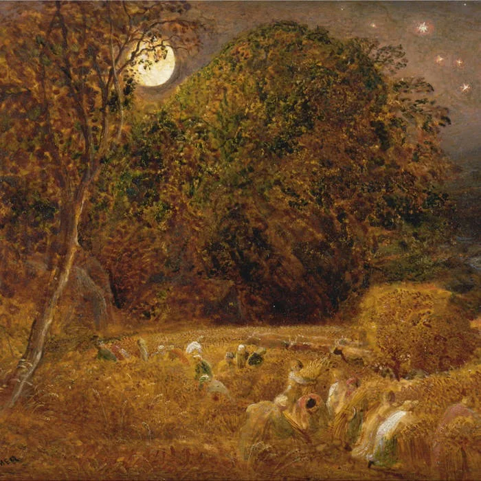 Under the Harvest Moon cover