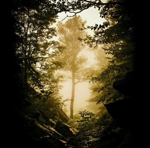 Hiver, nostalgie & amertume cover