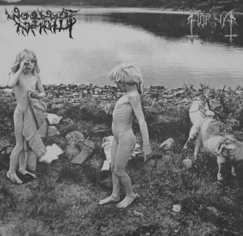 Horna / Woods of Infinity cover