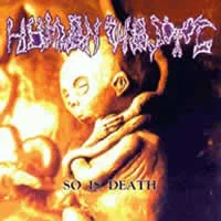 So Is Death cover