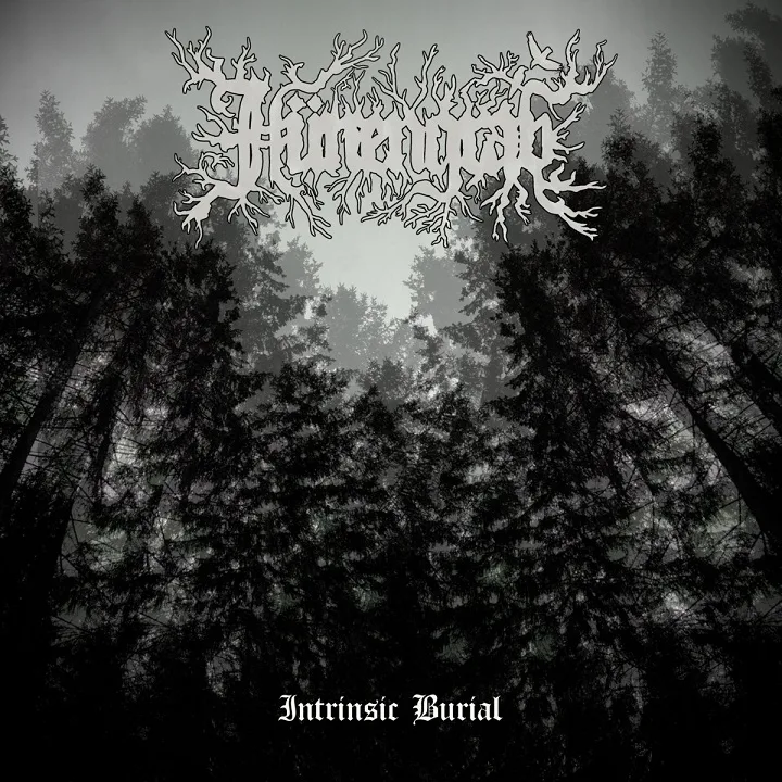 Intrinsic Burial cover