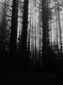 Come, Ye Cursed Ones cover