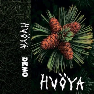 Demo cover