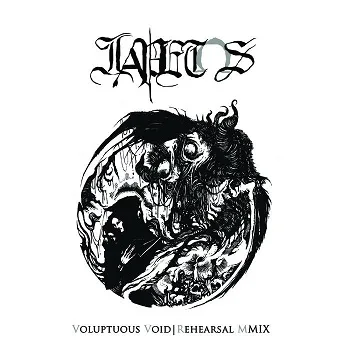 Voluptuous Void cover
