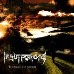 Through the Storm cover