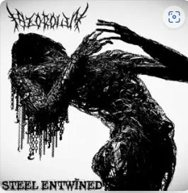 Steel Entwined cover