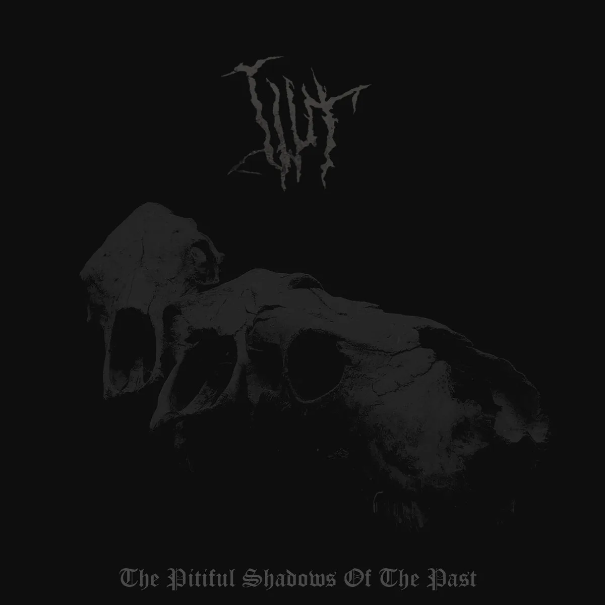 The Pitiful Shadows of the Past cover