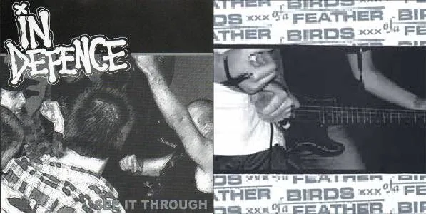 Birds of a Feather / In Defence cover