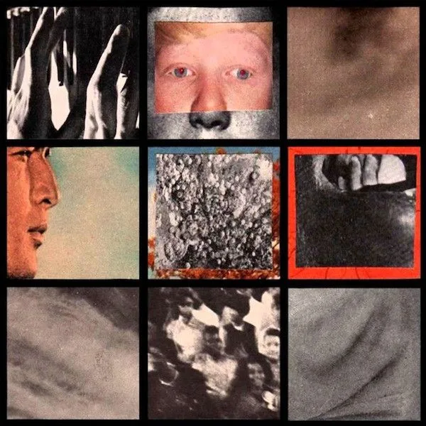 SFN / In Disgust cover