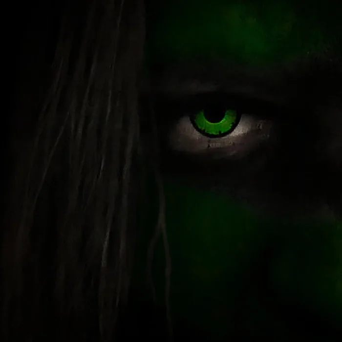 Head of the Snake cover