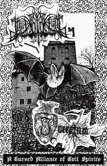 A Cursed Alliance of Evil Spirits cover