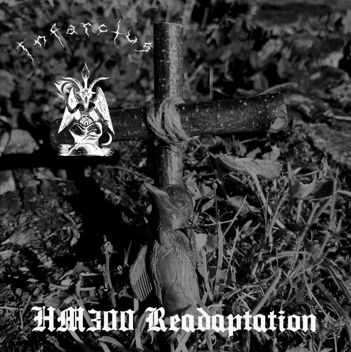 HM 300 Readaptation cover