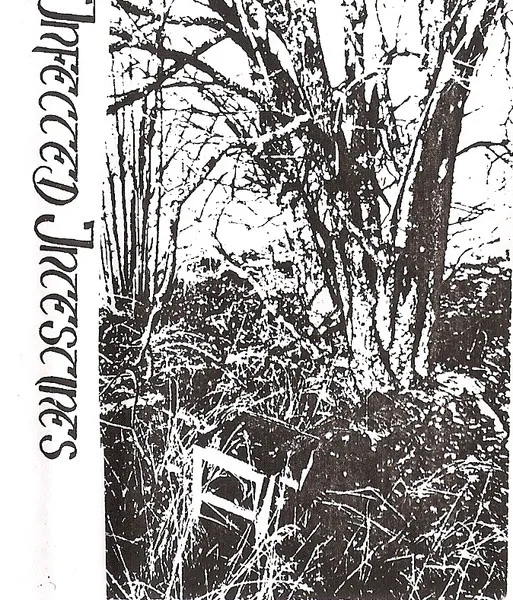 The Disguise cover