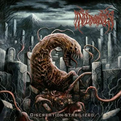 Discreation Stabilized cover