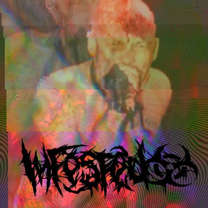 Die When You Die (GG Allin cover) cover