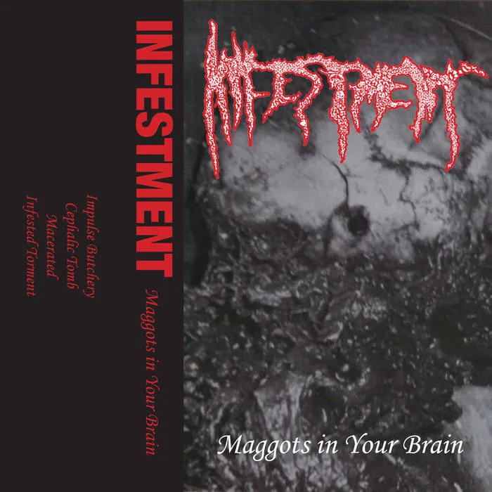 Maggots in Your Brain cover