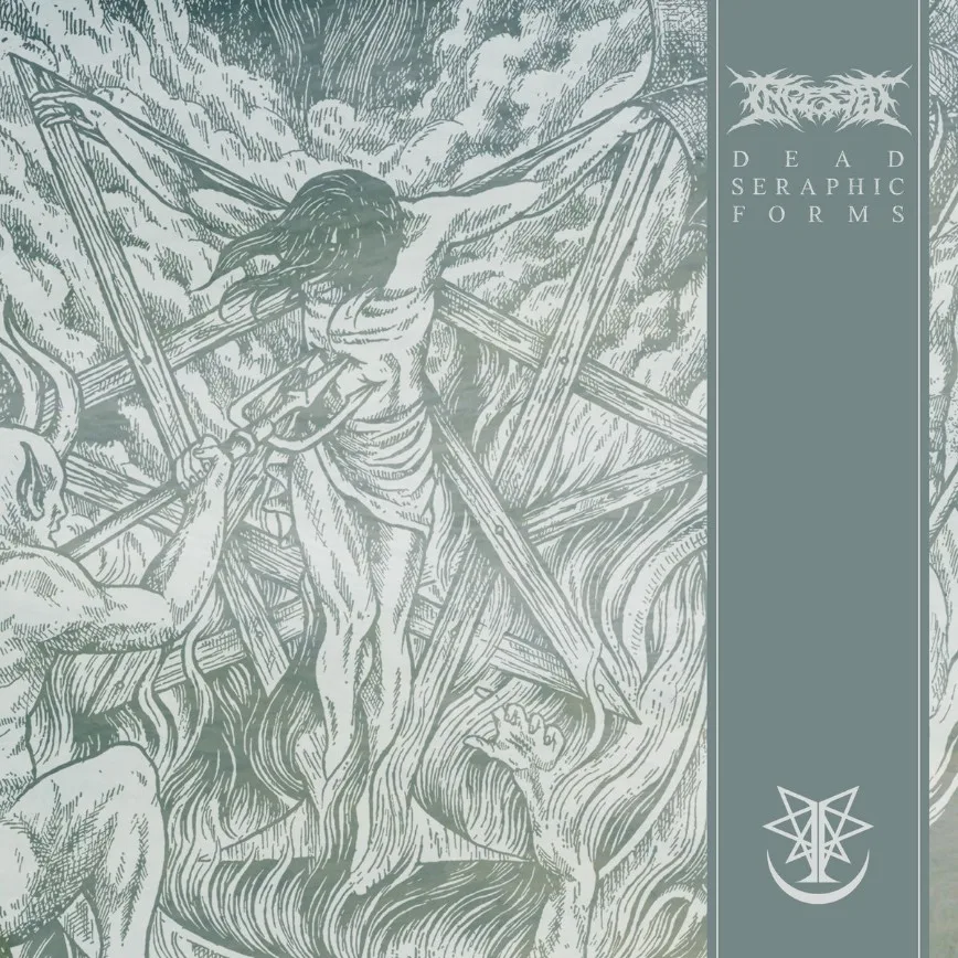 Dead Seraphic Forms cover