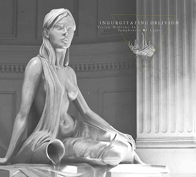 Vision Wallows in Symphonies of Light cover