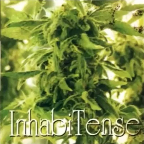 InhabiTense cover