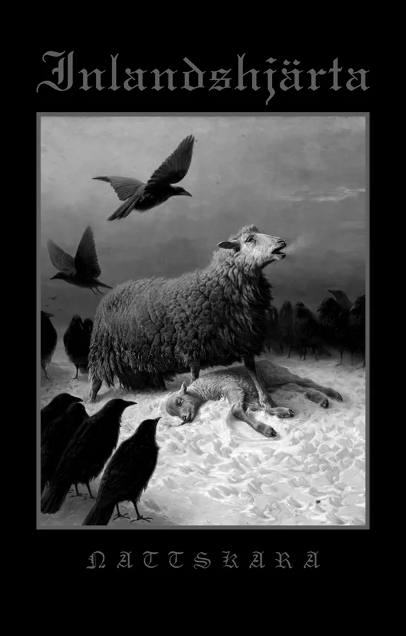 Nattskara cover