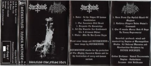 Burning the False Idol cover