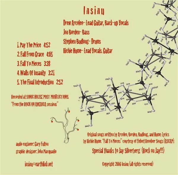 Insinu cover