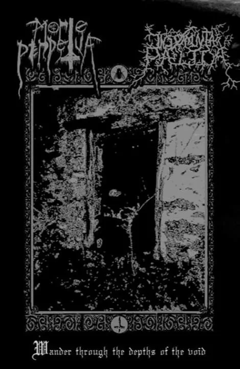 Wander Through the Depths of the Void cover