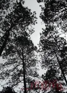 Recuerdos cover