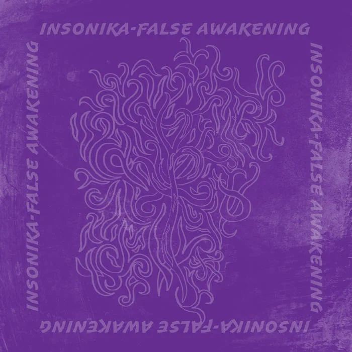 False Awakening cover