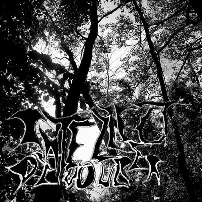 Hypocritical Mass cover