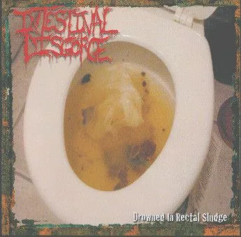 Drowned in Rectal Sludge cover