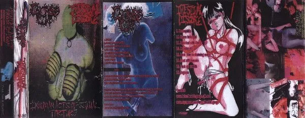 Inhuman Acts of Sexual Torture cover