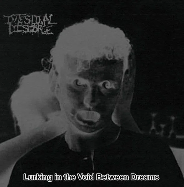 Lurking in the Void Between Dreams cover