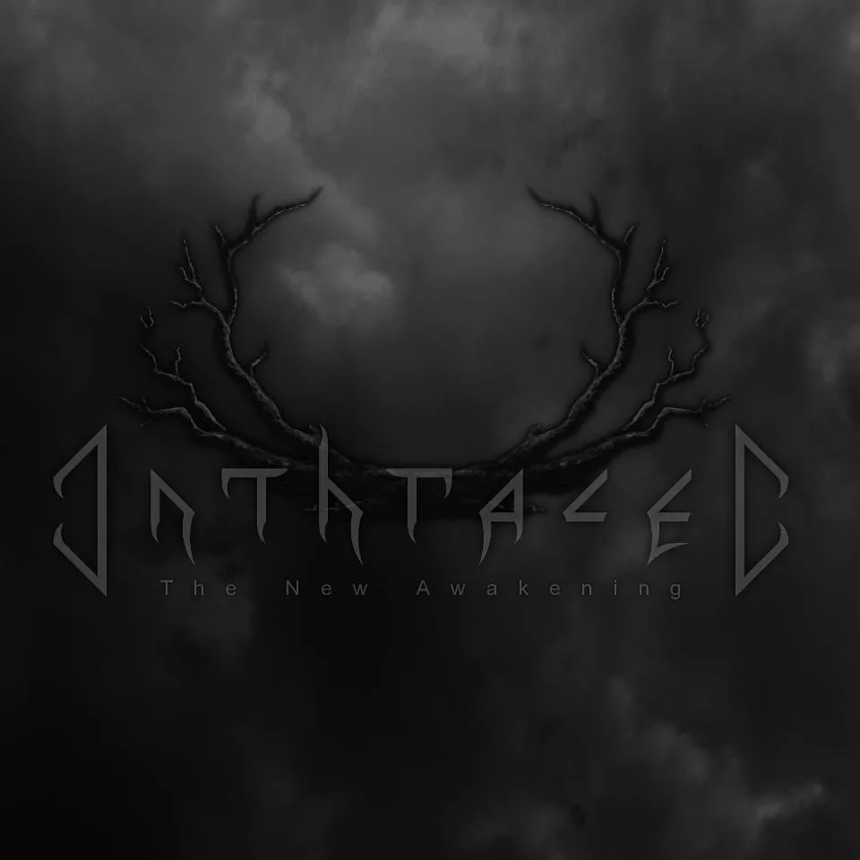 The New Awakening cover