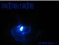 All Dies Here cover