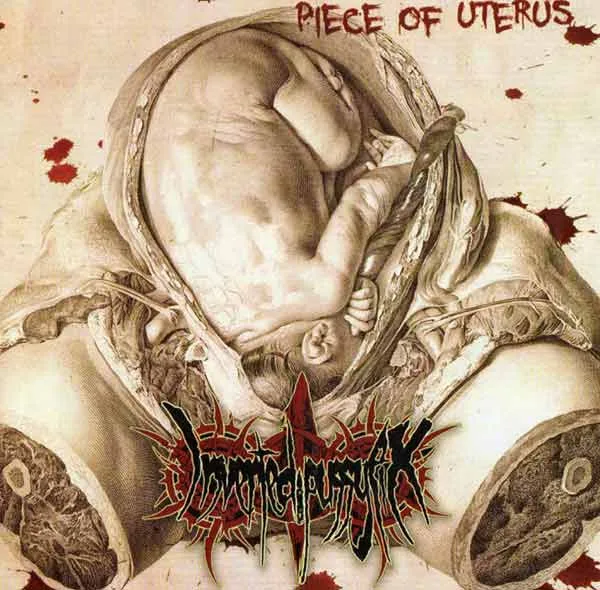 Piece of Uterus cover